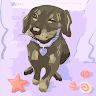 user_yjv2ro9115z9kb9e member profile picture