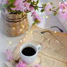 Sheza Imtiaz profile image
