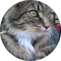 Avatar de philippe.E