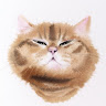 Xh chang avatar