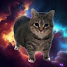 Apolo