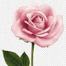 Created by