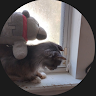 EnderKnight545 member profile picture