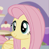 flutter shy
