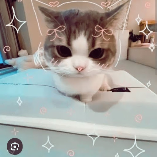 Lily