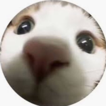 AVA ANG XI RU Moe