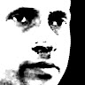 সাদা পায়রা