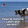 Created by