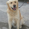 barış kaplan