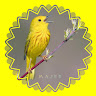Created by
