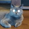 Octavian