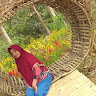 Created by
