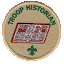 Troop 413 Historian (Owner)