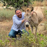 תמונת פרופיל