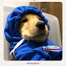 Hng