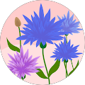 Avatar de MARIE.E