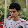 Bryan Fernandes Oliveira