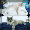 Created by