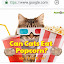 popcorn cat