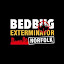 Bed Bug Exterminator Norfolk (Owner)