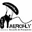 Aerofly Driu