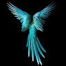Henok Mulat's avatar