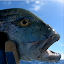 Moorea Sunrisefishing (Owner)