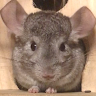 userThumbnail