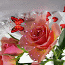Created by
