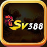 damviet419