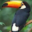 Tyeth Gundry (Owner)