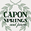 Capon Springs (Capon Springs & Farms) (Owner)