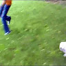 kameshward