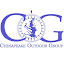 Cog Group (Owner)