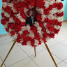 Created by