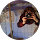 Margaret Chudleigh profile picture