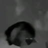 user_5s9xsm9qnluna92g member profile picture