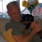 Utilizator: Sam Bradshaw