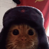 Happtomato