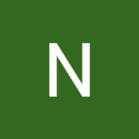 Nouheyla Azizi