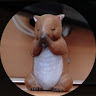 Buyer avatar