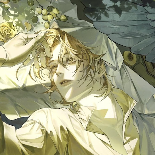 noah 
