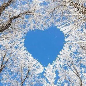 lisashockleyfors - @lisashockleyfors - TikTok