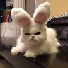 user-avatar