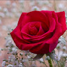 Created by