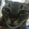 Kedycik Profil Resmi