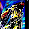 JicamaLord member profile picture