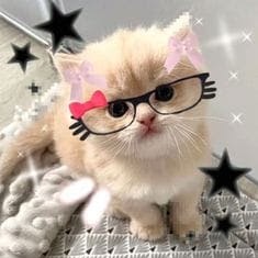 Чмо