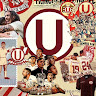 alvarado26luciano