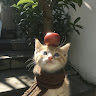 Bảo ngọc Vũ hoàng